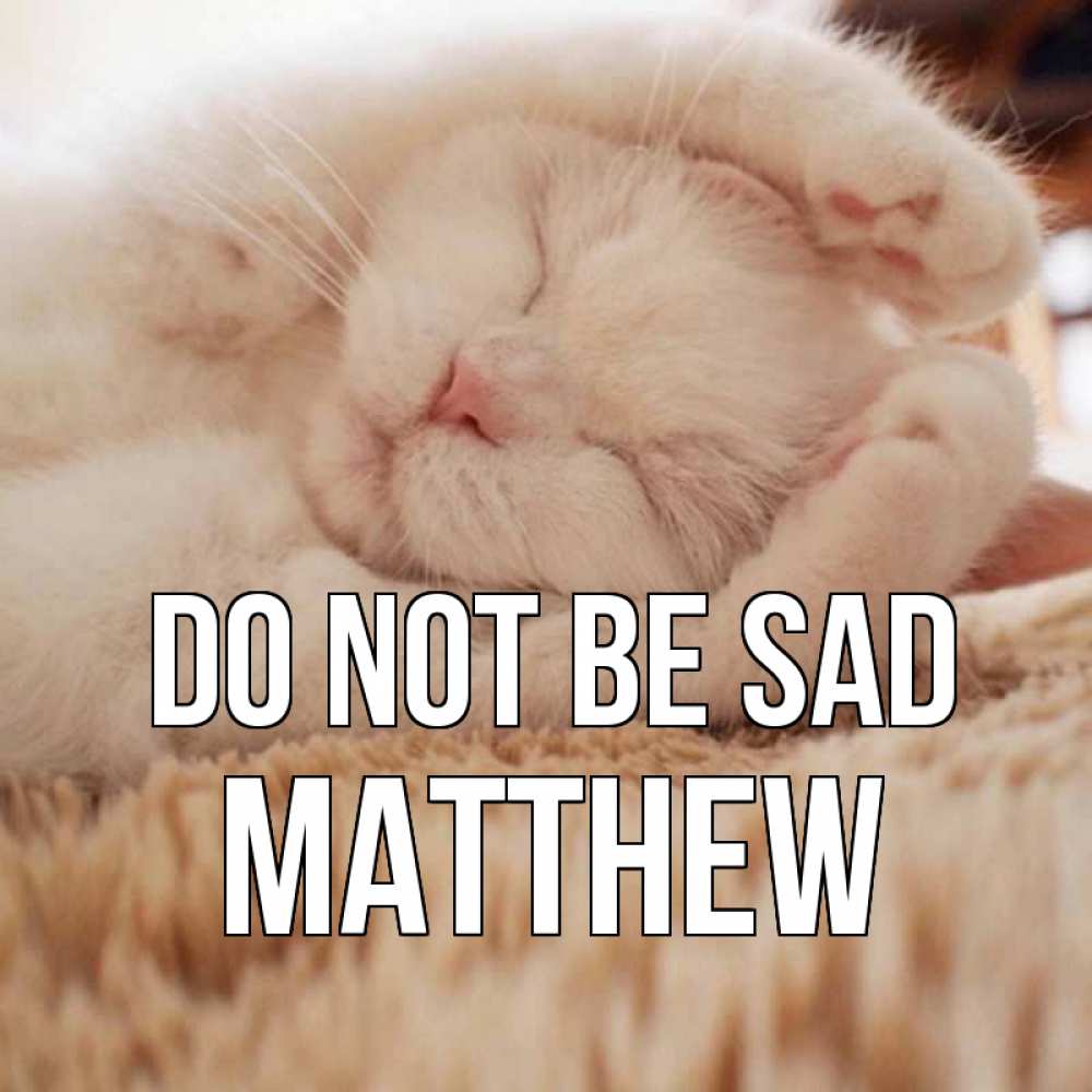 Greetings card с именем, Matthew Do not be sad белый кот Greetings with text for free download 