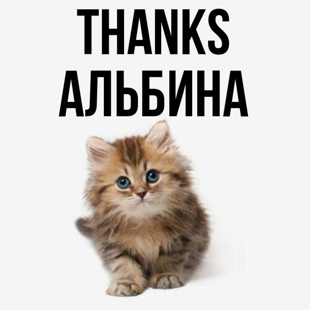 Greetings card с именем, Альбина Thanks пушистый котик Greetings with text for free download 