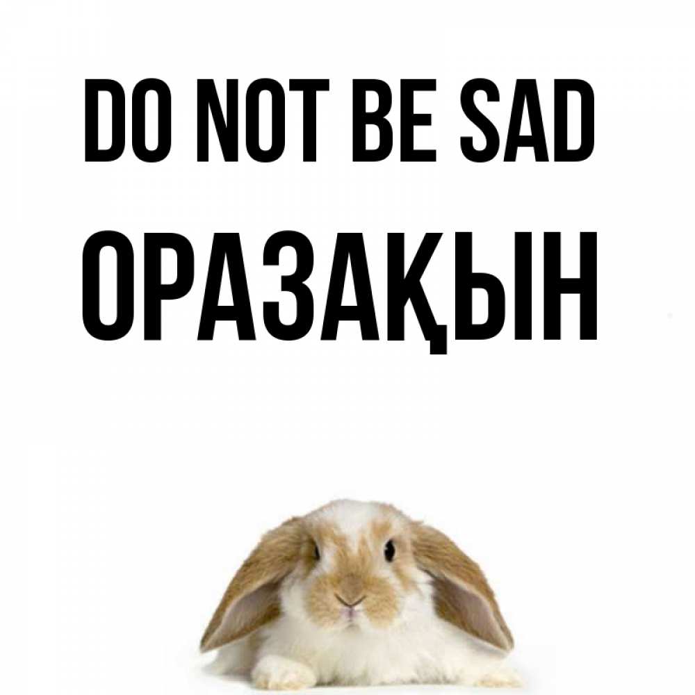Greetings card с именем, ОРАЗАҚЫН Do not be sad коричнево белый заяц с большими ушками Greetings with text for free download 