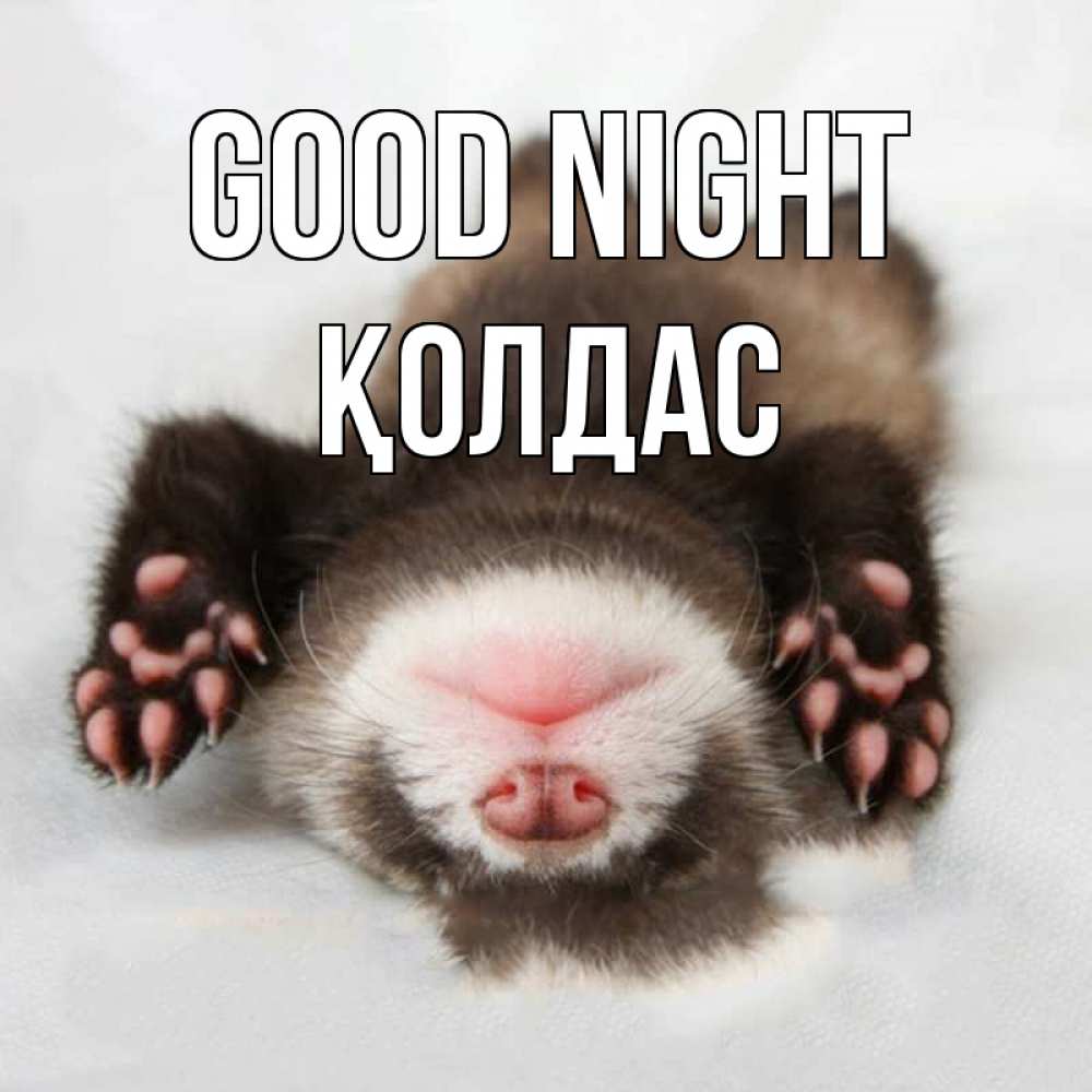 Greetings card с именем, Қолдас Good night зверек Greetings with text for free download 