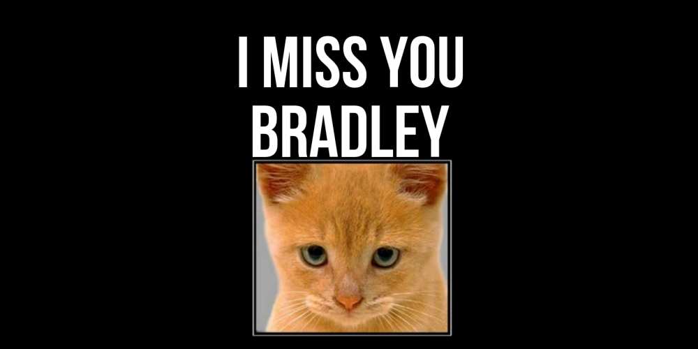 Greetings card с именем, Bradley I miss you открытки рыжий котенок скучает по тебе Greetings with text for free download 