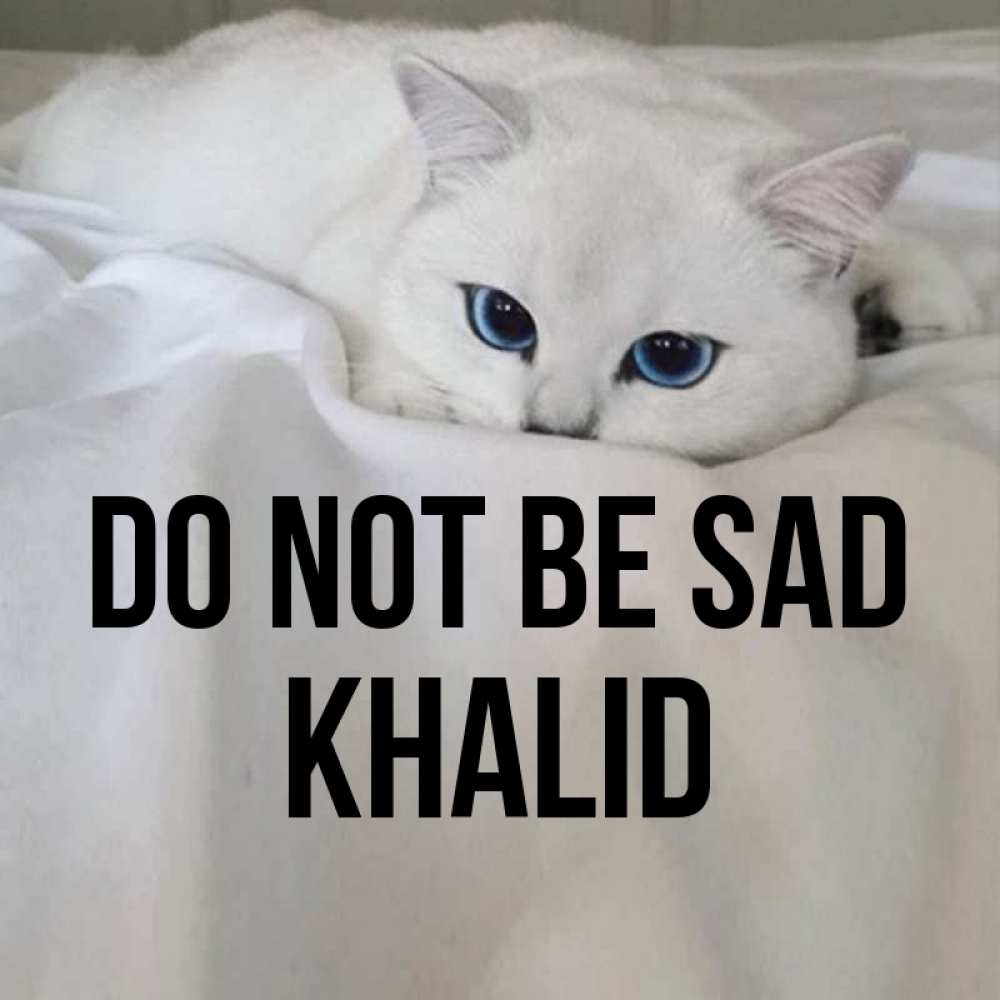 Greetings card с именем, Khalid Do not be sad Голубоглазая кошка Greetings with text for free download 