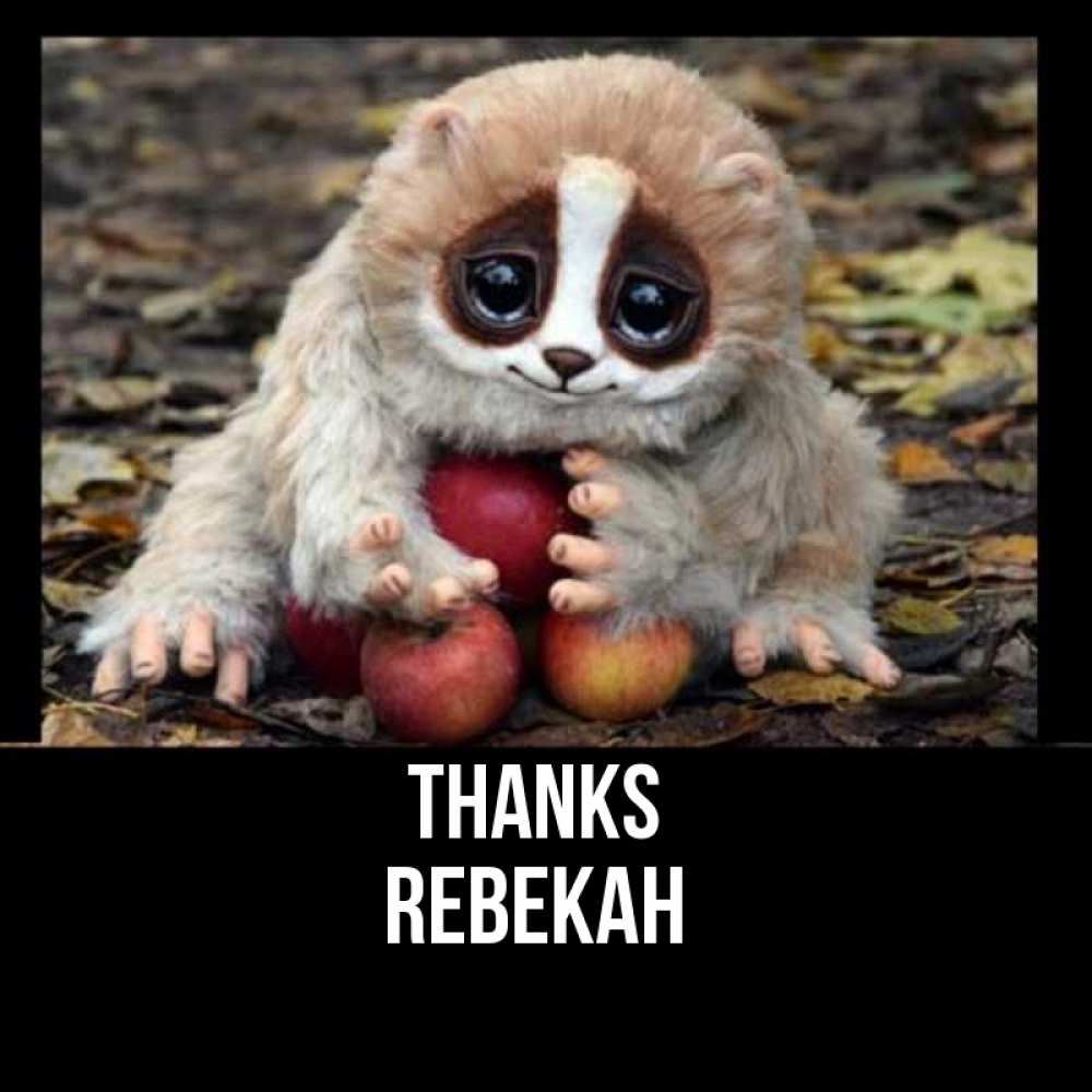Greetings card с именем, Rebekah Thanks прикольное животное Greetings with text for free download 