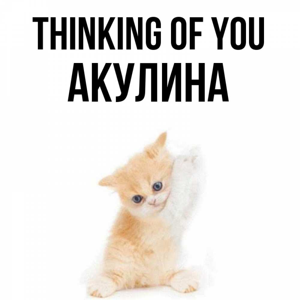 Greetings card с именем, Акулина Thinking of you зверушки и милота Greetings with text for free download 