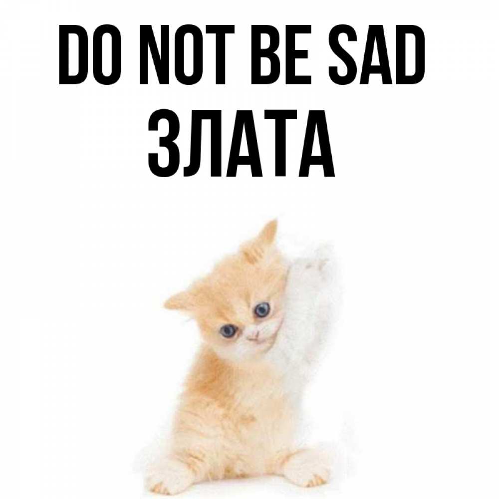 Greetings card с именем, Злата Do not be sad просящий кот Greetings with text for free download 