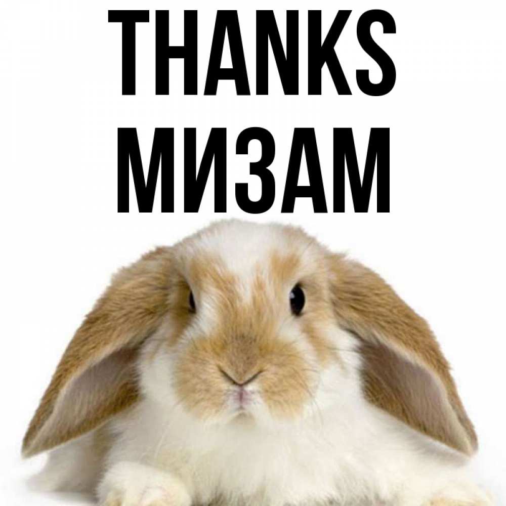 Greetings card с именем, МИЗАМ Thanks коричнево белый заяц Greetings with text for free download 
