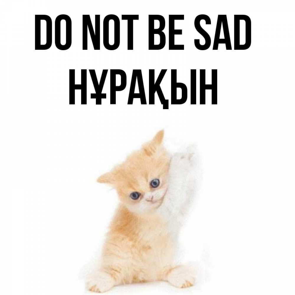 Greetings card с именем, НҰРАҚЫН Do not be sad просящий кот Greetings with text for free download 