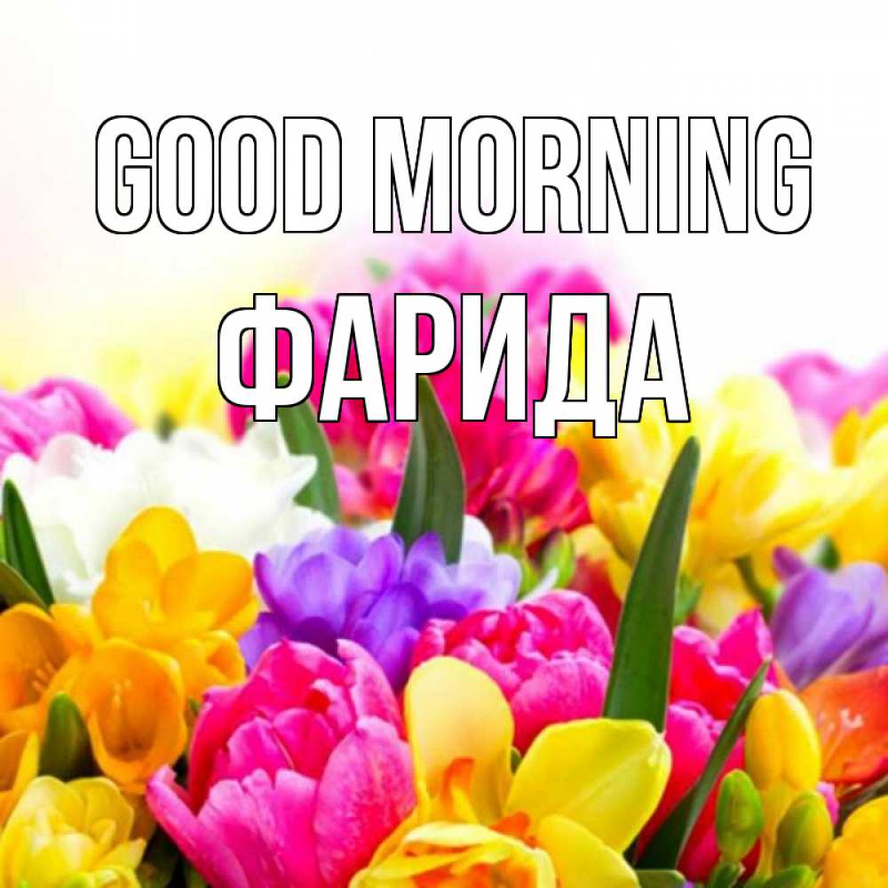 Greetings card с именем, ФАРИДА Good morning создать открытку со свое подписью Greetings with text for free download 