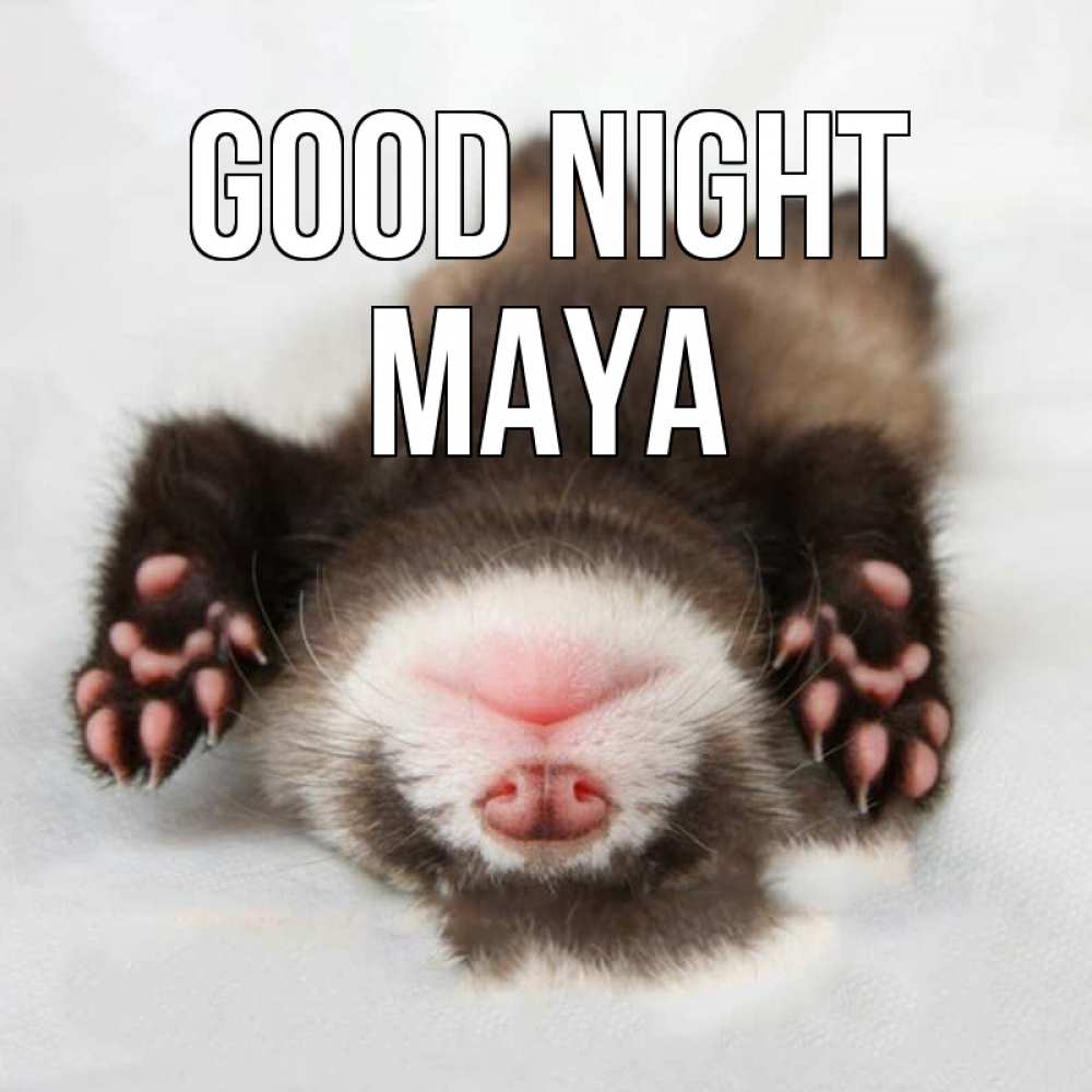 Greetings card с именем, Maya Good night зверек Greetings with text for free download 