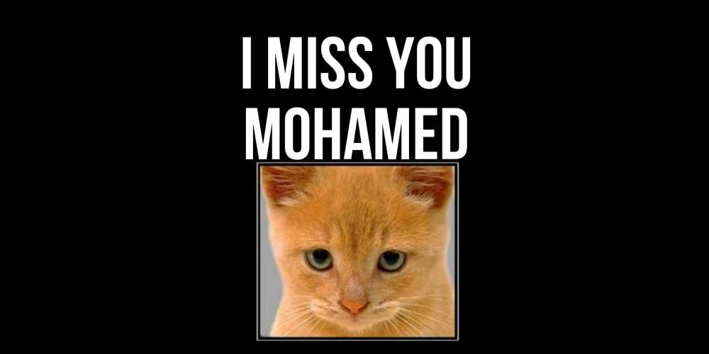 Greetings card с именем, Mohamed I miss you открытки рыжий котенок скучает по тебе Greetings with text for free download 