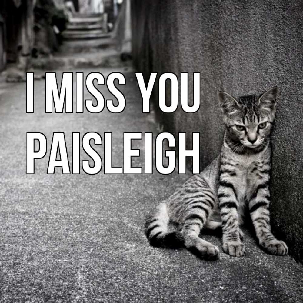 Greetings card с именем, Paisleigh I miss you одиноко котику Greetings with text for free download 