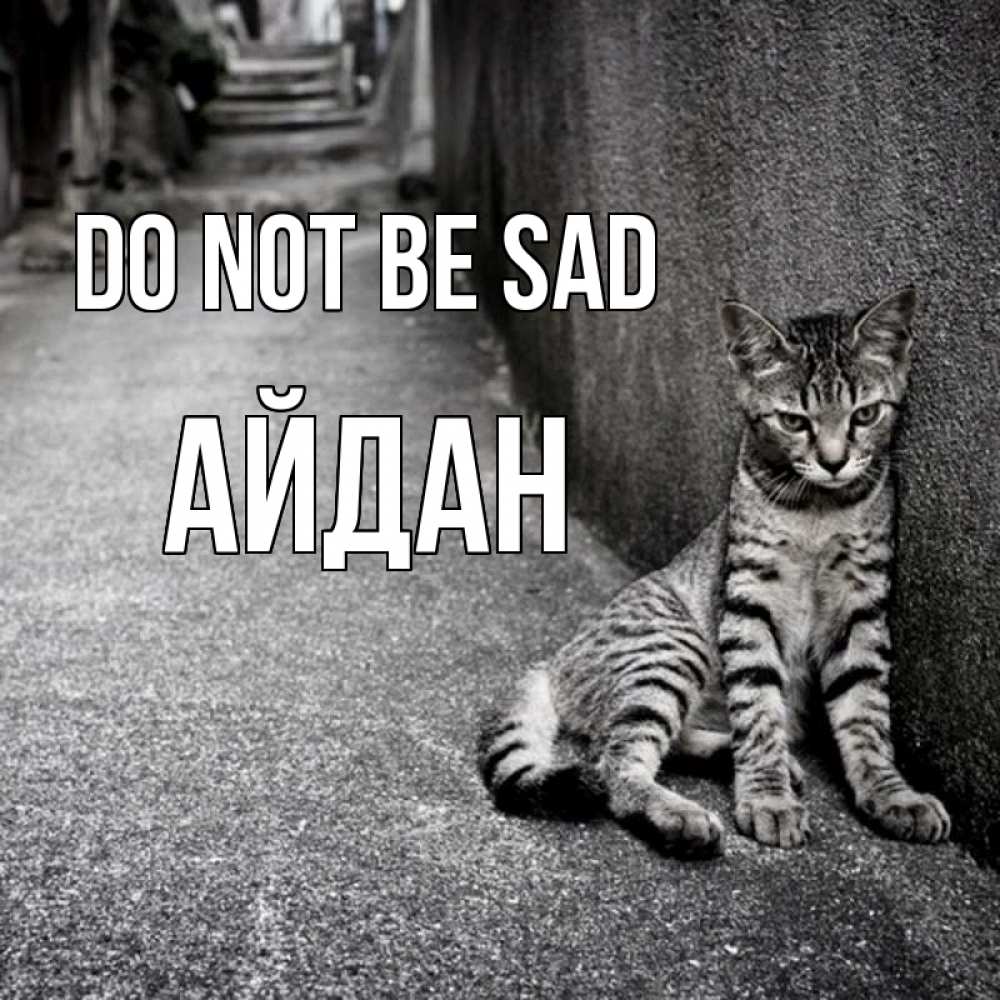 Greetings card с именем, Айдан Do not be sad скучающий котик Greetings with text for free download 