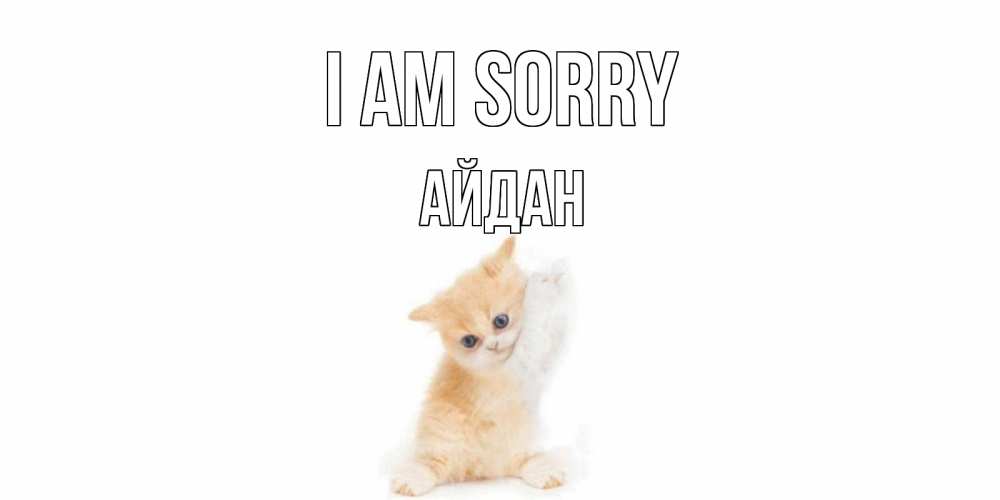 Greetings card с именем, Айдан I am sorry кот Greetings with text for free download 