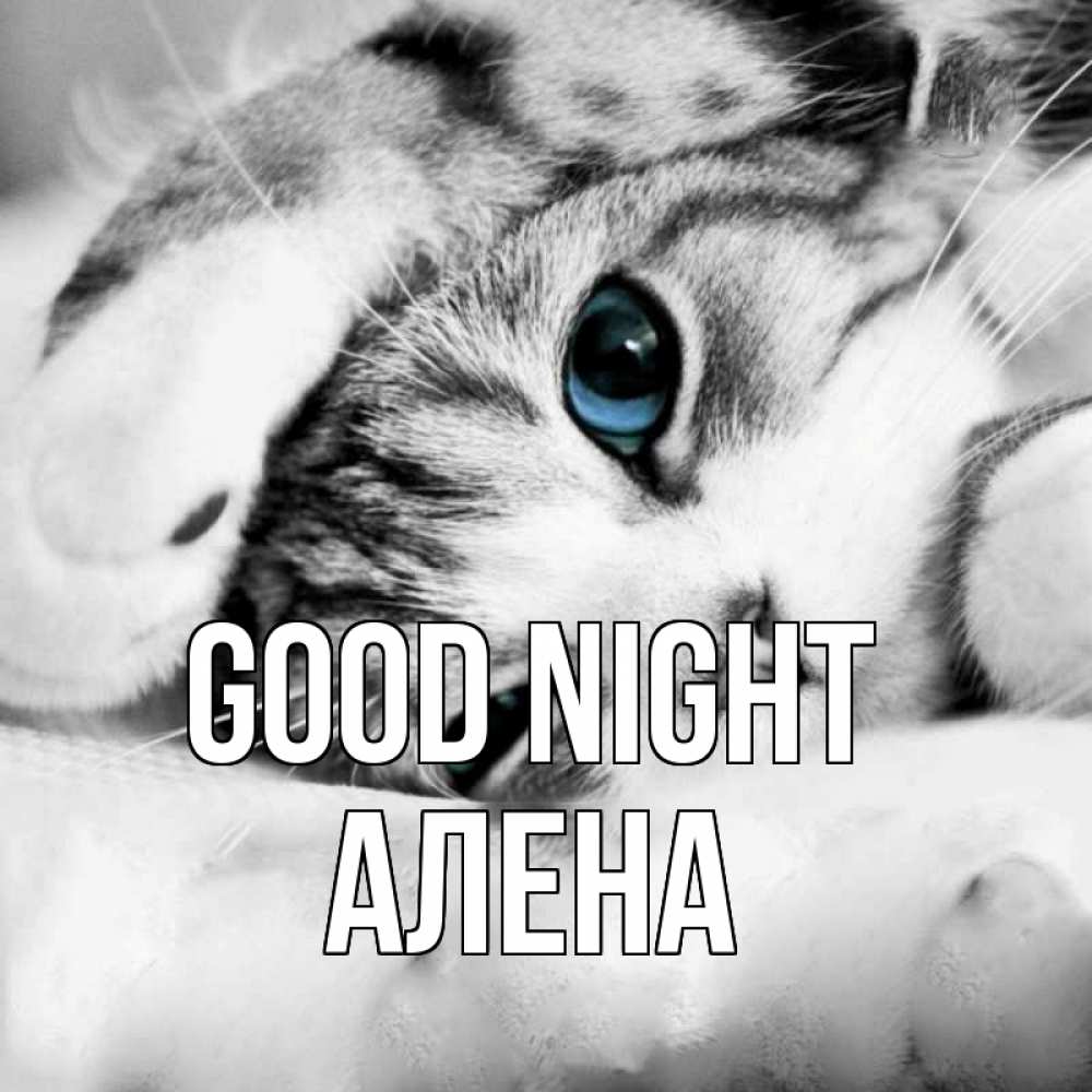 Greetings card с именем, Алена Good night кот устал Greetings with text for free download 