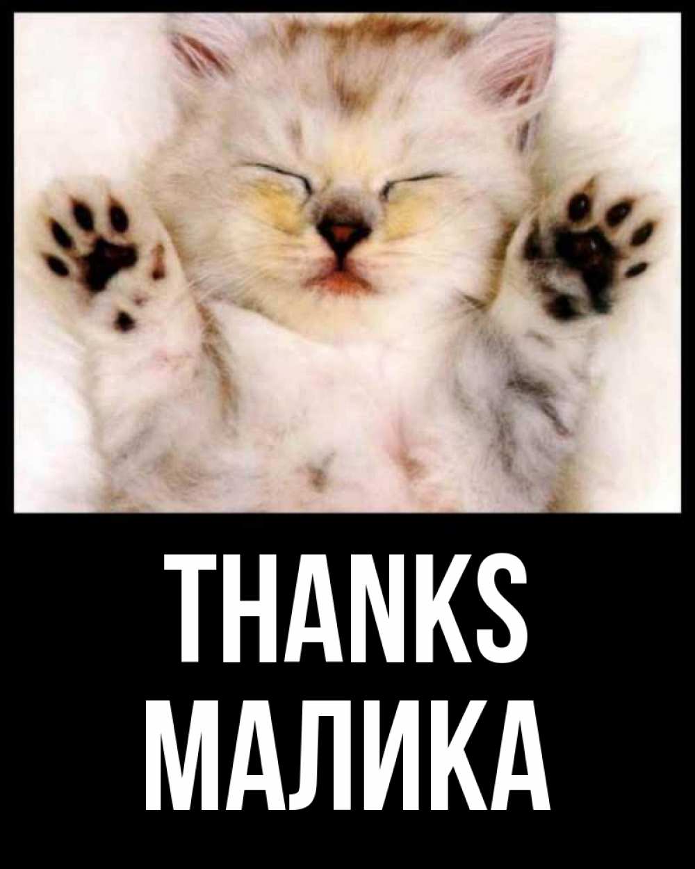 Greetings card с именем, Малика Thanks маленький котенок Greetings with text for free download 