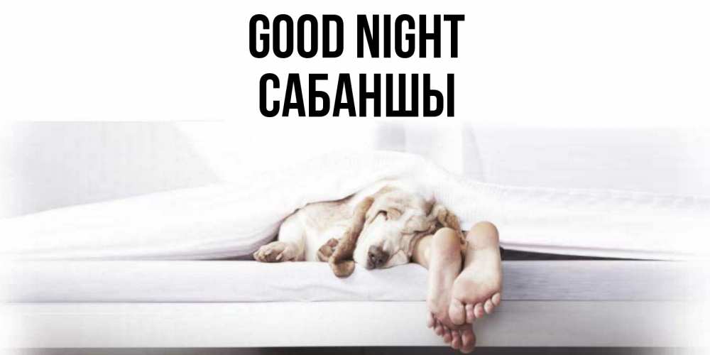 Greetings card с именем, САБАНШЫ Good night кровать с собакой пожелание сладких снов и спокойной ночи Greetings with text for free download 