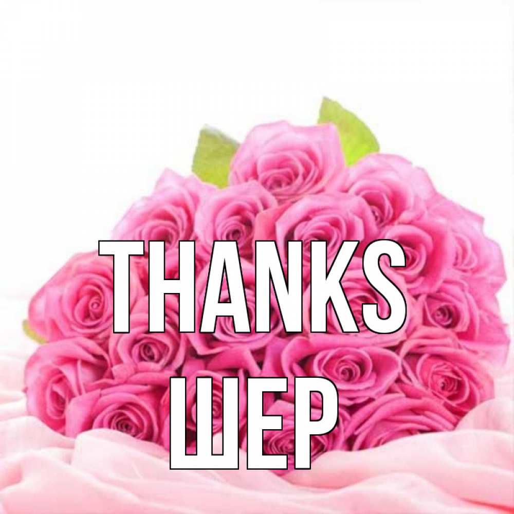 Greetings card с именем, ШЕР Thanks розовые розы с подписью Greetings with text for free download 