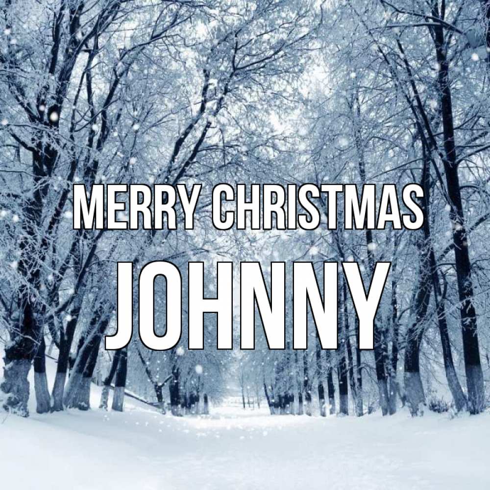 Greetings card с именем, Johnny Merry Christmas снег, лес, парк Greetings with text for free download 