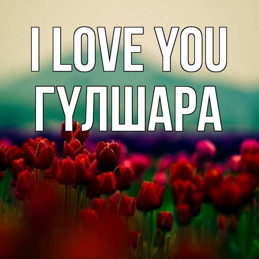 Greetings card с именем, ГҮЛШАРА I love you тюльпаны 4 Greetings with text for free download 