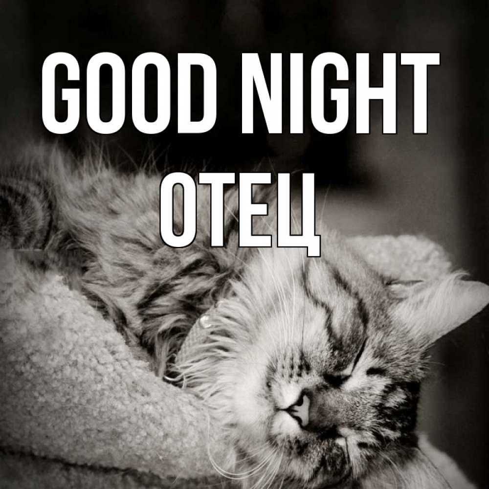 Greetings card с именем, Отец Good night котярик пушистый Greetings with text for free download 
