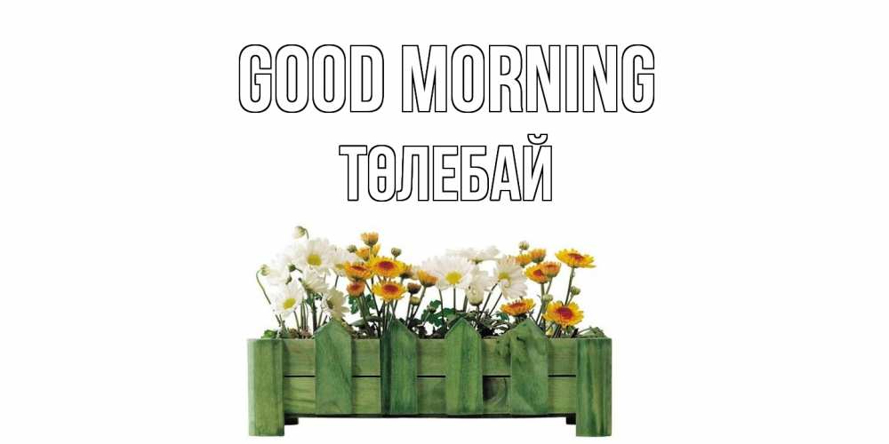 Greetings card с именем, ТӨЛЕБАЙ Good morning цветы Greetings with text for free download 