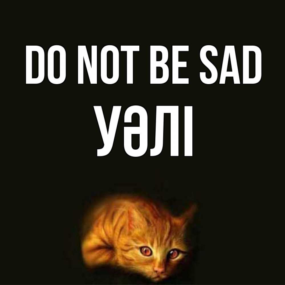 Greetings card с именем, УӘЛІ Do not be sad лежащий кот в темноте Greetings with text for free download 