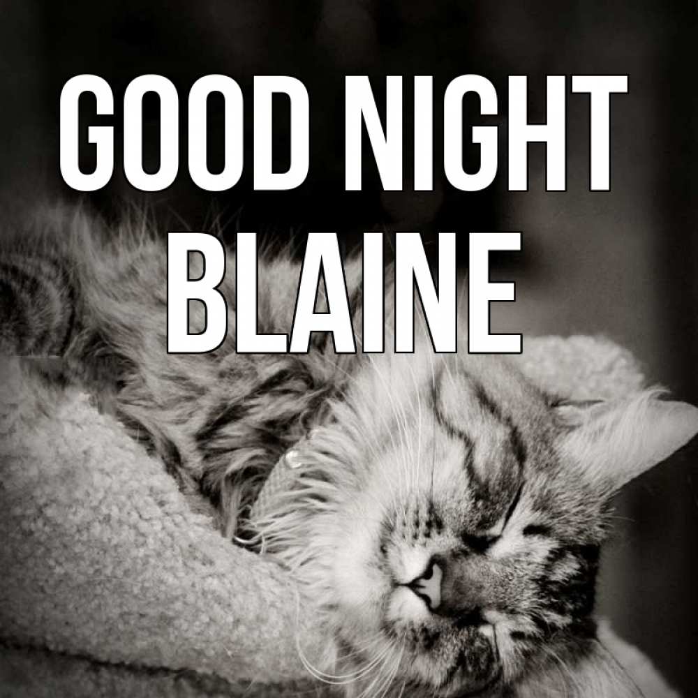 Greetings card с именем, Blaine Good night котярик пушистый Greetings with text for free download 