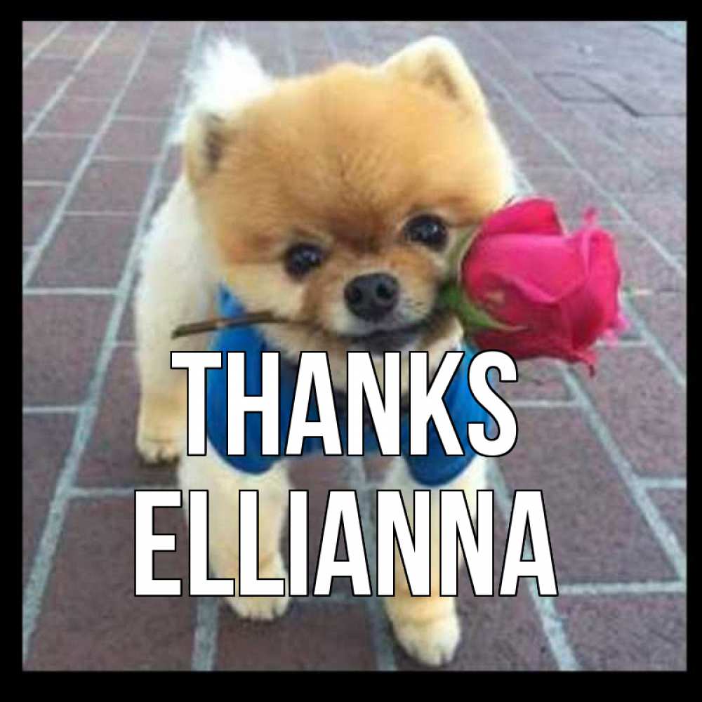 Greetings card с именем, Ellianna Thanks спасибо и дарю тебе цветок Greetings with text for free download 