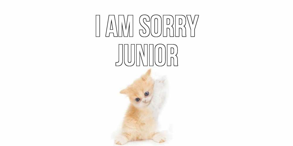 Greetings card с именем, Junior I am sorry кот Greetings with text for free download 
