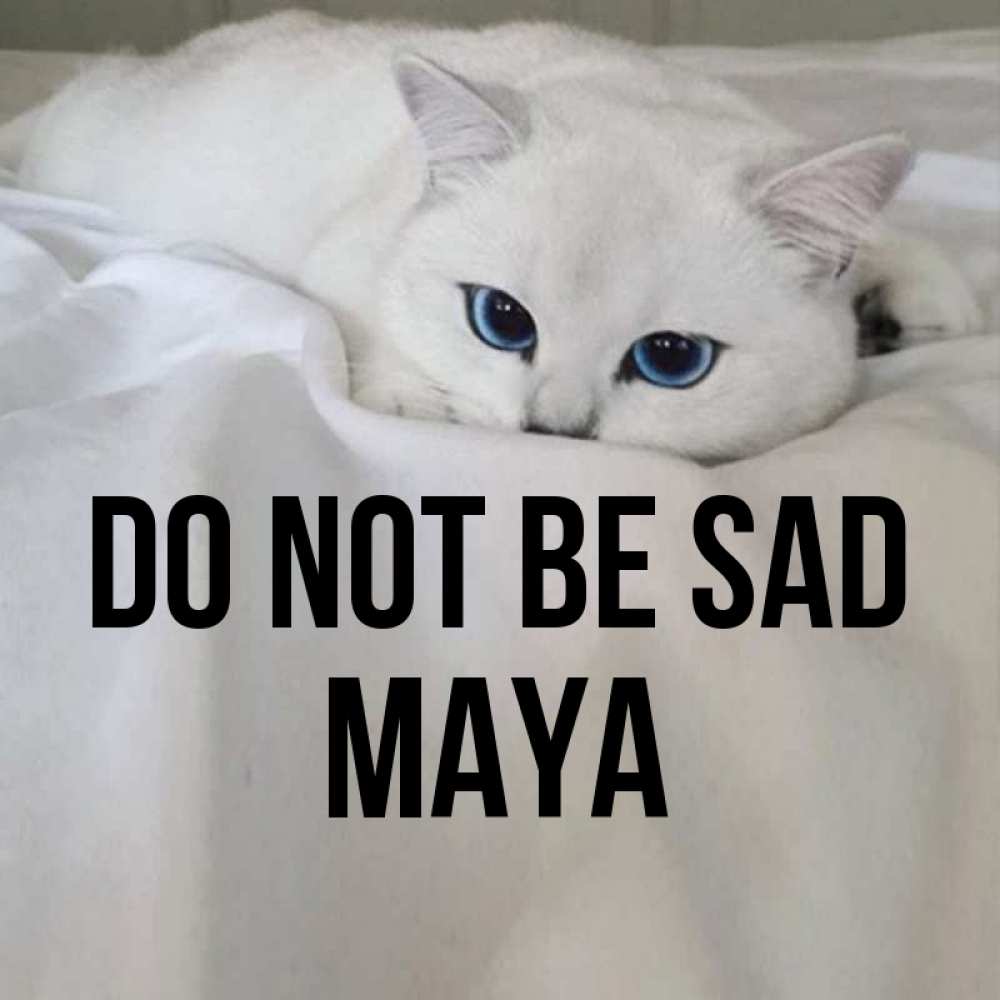 Greetings card с именем, Maya Do not be sad Голубоглазая кошка Greetings with text for free download 