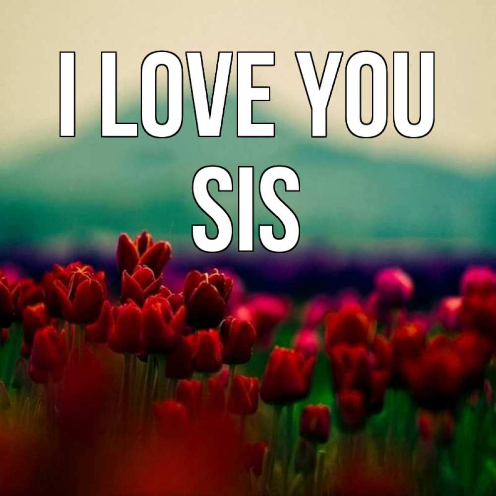 Greetings card с именем, sis I love you тюльпаны 4 Greetings with text for free download 