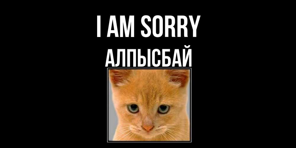 Greetings card с именем, Алпысбай I am sorry рыжий грустный кот просит прощения Greetings with text for free download 