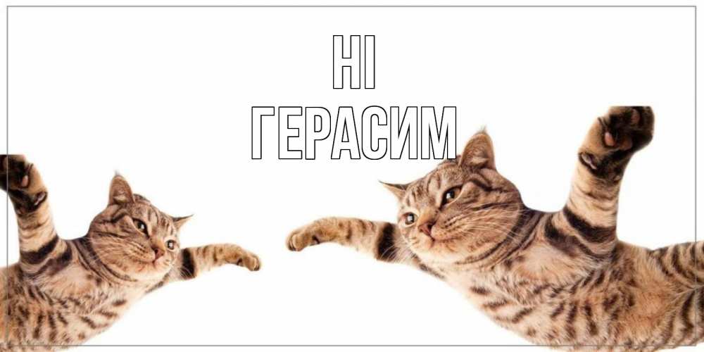Greetings card с именем, Герасим Hi кот Greetings with text for free download 