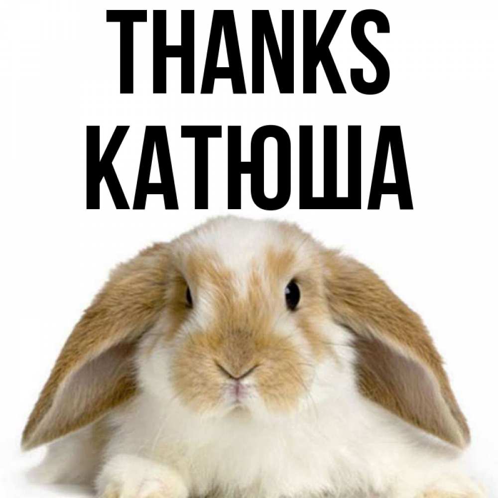 Greetings card с именем, Катюша Thanks коричнево белый заяц Greetings with text for free download 