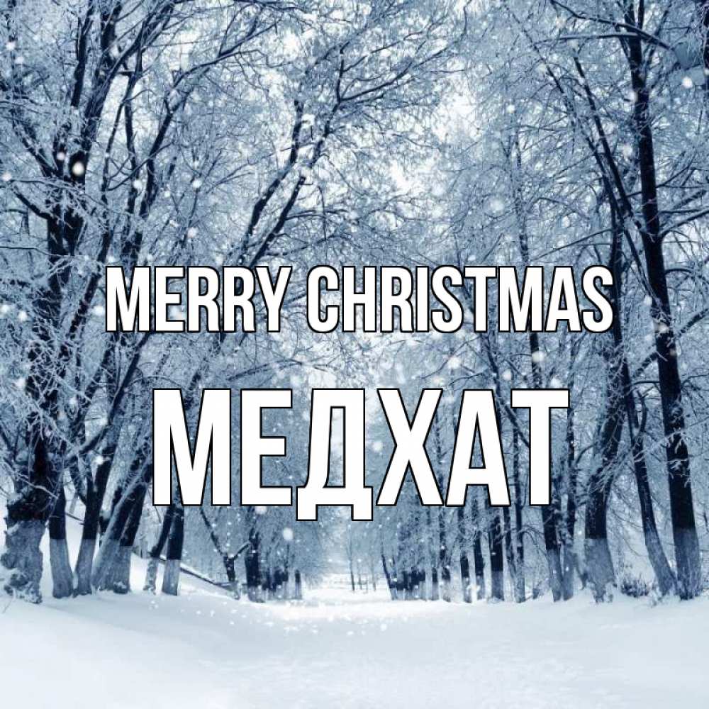 Greetings card с именем, МЕДХАТ Merry Christmas снег, лес, парк Greetings with text for free download 