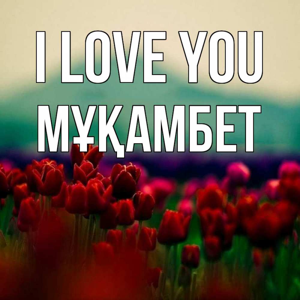 Greetings card с именем, МҰҚАМБЕТ I love you тюльпаны 4 Greetings with text for free download 