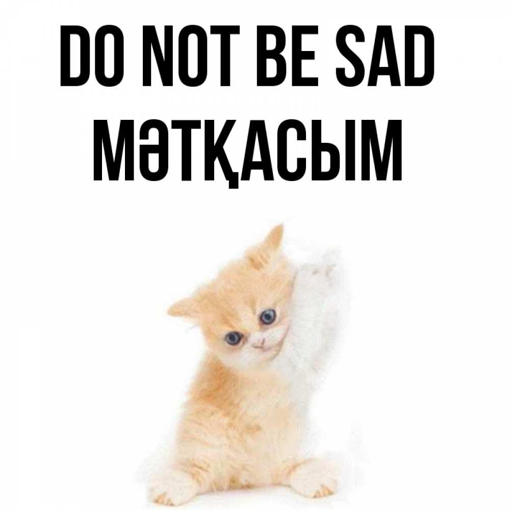 Greetings card с именем, МӘТҚАСЫМ Do not be sad просящий кот Greetings with text for free download 