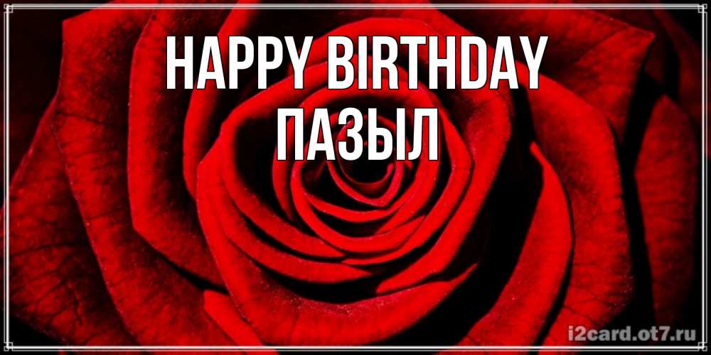 Greetings card с именем, ПАЗЫЛ Happy Birthday алая роза Greetings with text for free download 
