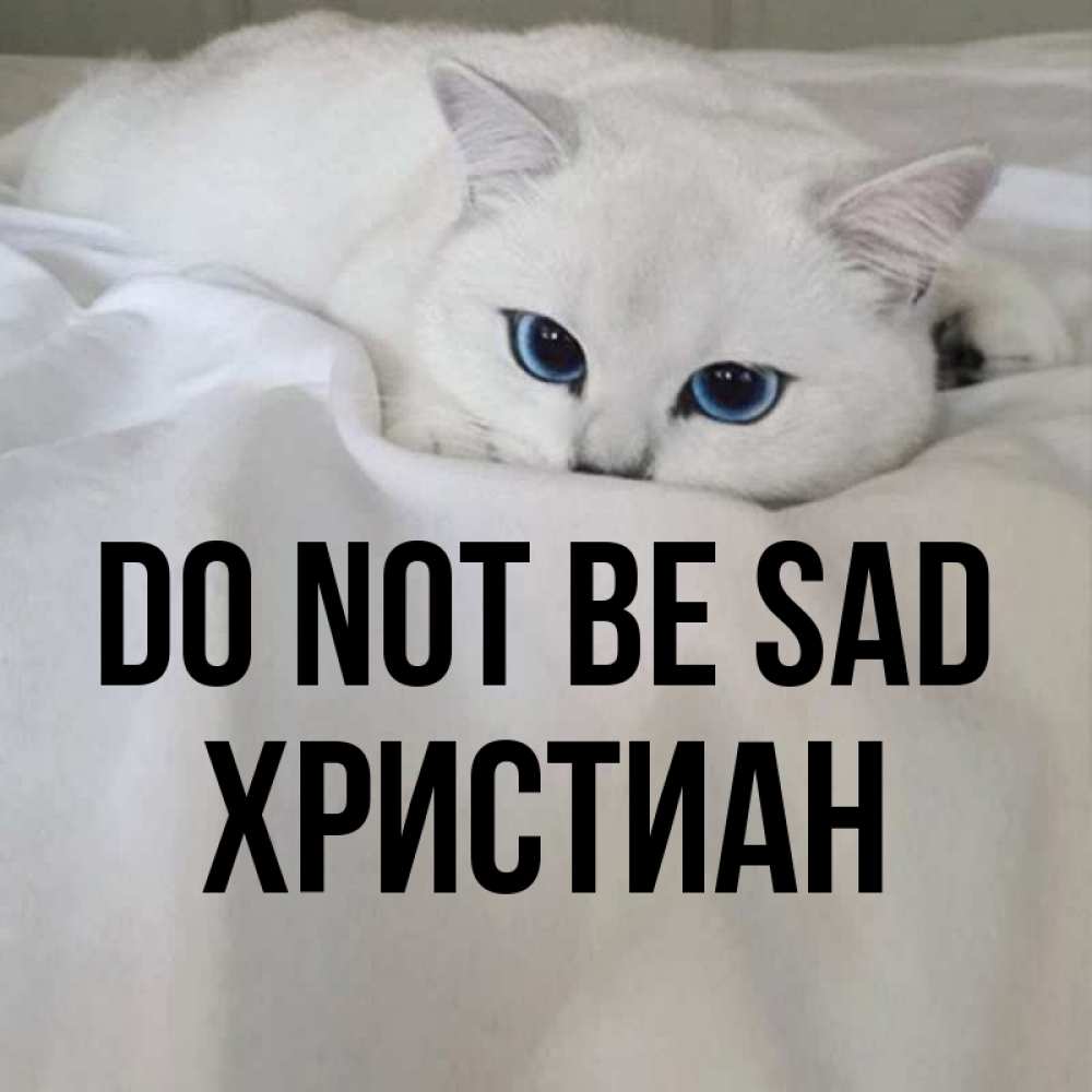 Greetings card с именем, Христиан Do not be sad Голубоглазая кошка Greetings with text for free download 