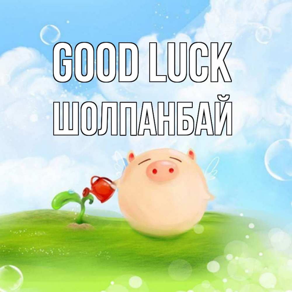 Greetings card с именем, ШОЛПАНБАЙ Good luck поросенок поливает цветок. летнее настроение Greetings with text for free download 