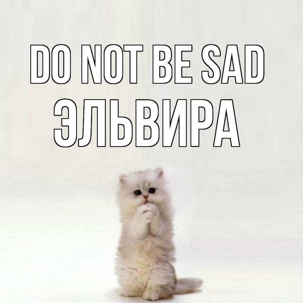 Greetings card с именем, Эльвира Do not be sad грустный кот Greetings with text for free download 