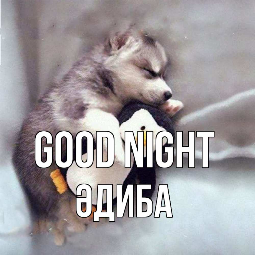 Greetings card с именем, ӘДИБА Good night обнимашки щенка и пингвина Greetings with text for free download 
