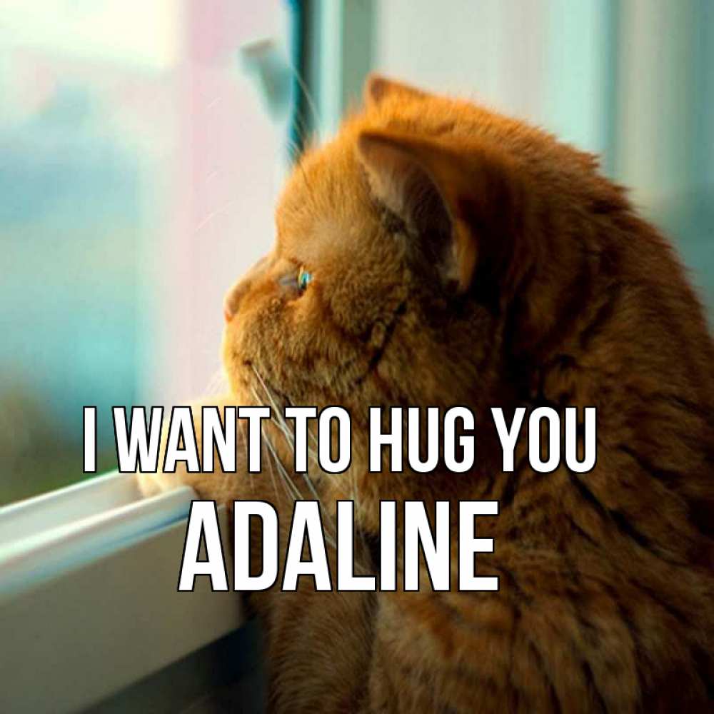 Greetings card с именем, Adaline I want to hug you большой огромный рыжий котяра Greetings with text for free download 
