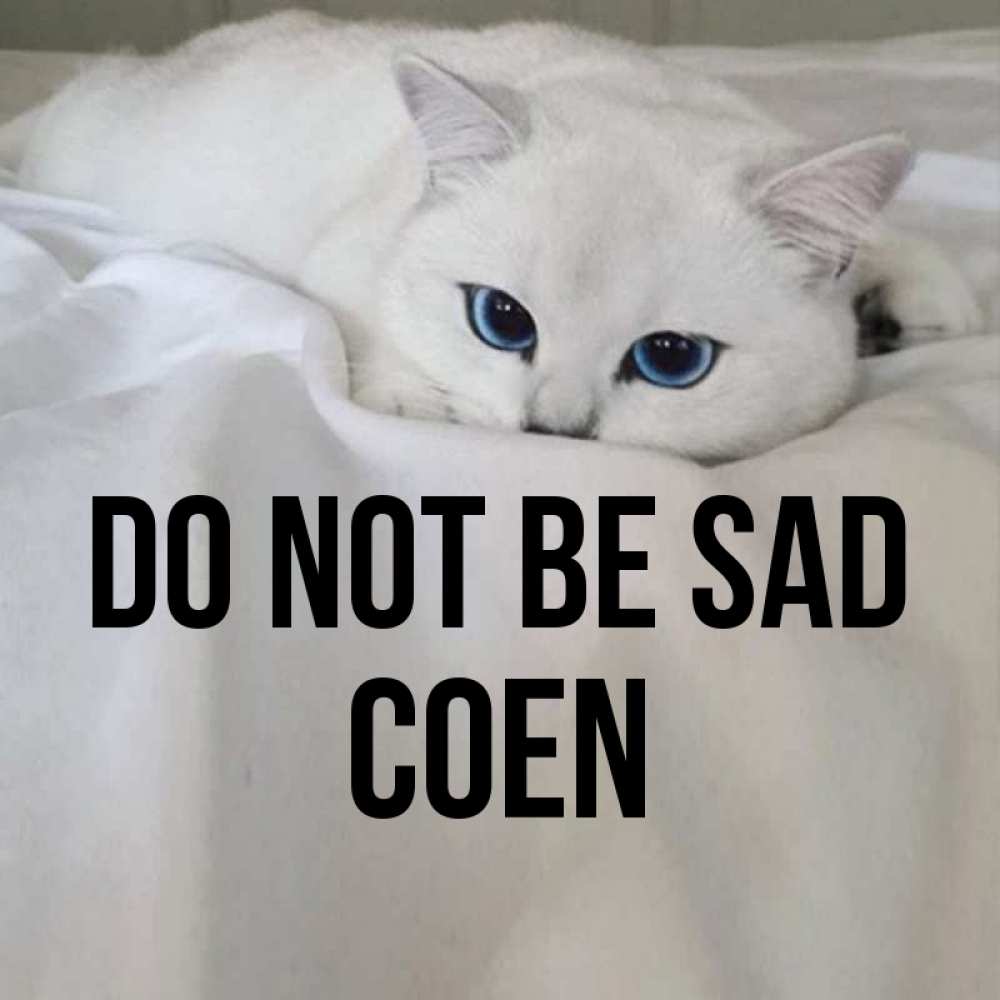 Greetings card с именем, Coen Do not be sad Голубоглазая кошка Greetings with text for free download 