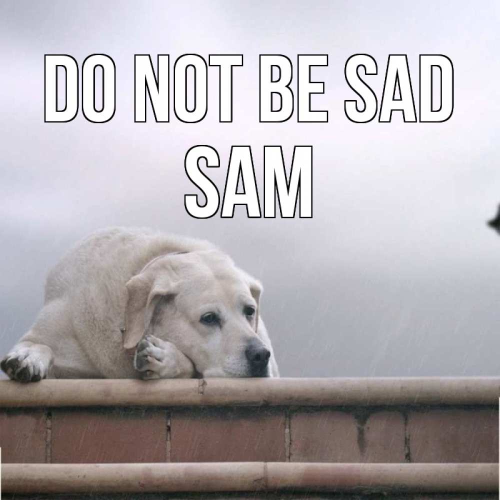Greetings card с именем, Sam Do not be sad белый пес 1 Greetings with text for free download 