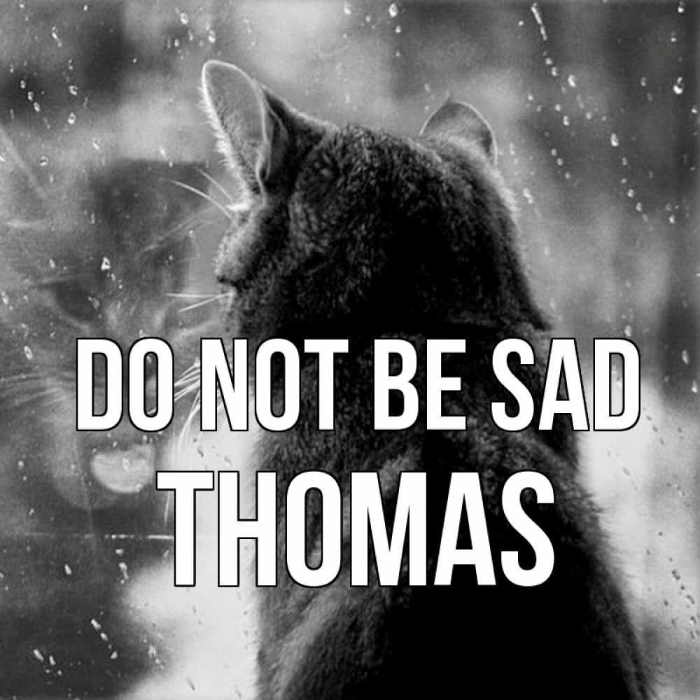 Greetings card с именем, Thomas Do not be sad отражение кота 1 Greetings with text for free download 