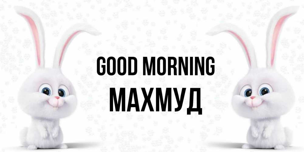 Greetings card с именем, Махмуд Good morning кролики с длинными ушками Greetings with text for free download 