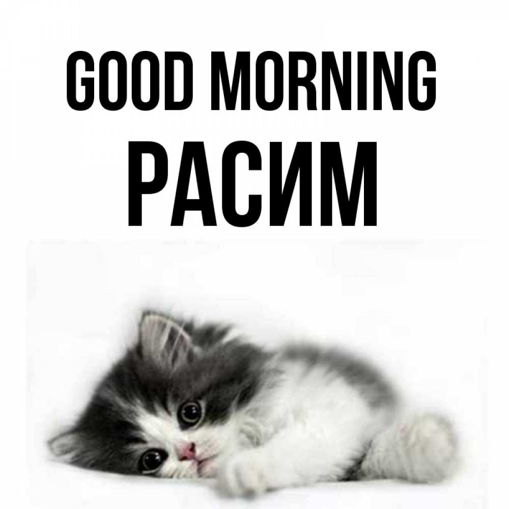 Greetings card с именем, Расим Good morning кот лапки Greetings with text for free download 