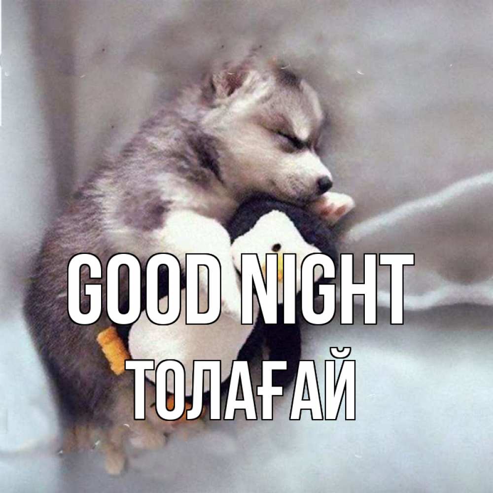 Greetings card с именем, ТОЛАҒАЙ Good night обнимашки щенка и пингвина Greetings with text for free download 