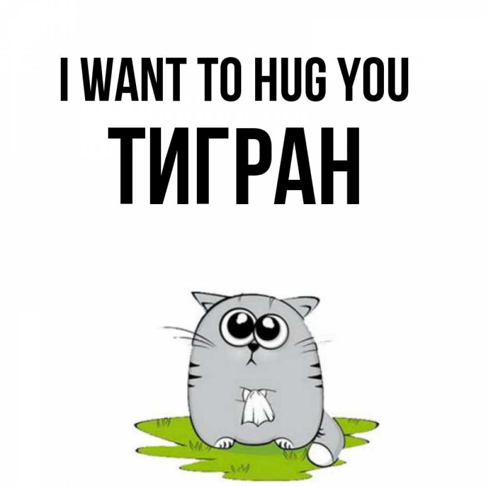 Greetings card с именем, Тигран I want to hug you котик теребит платочек сидя на травке Greetings with text for free download 